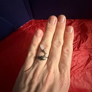 Chic Silver Dolphin Ring